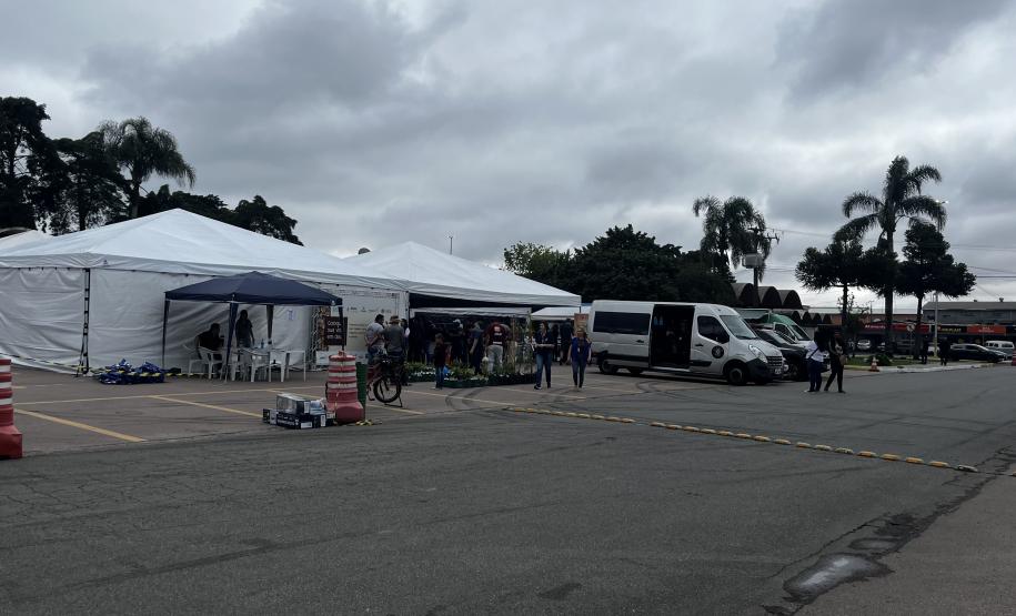 Casamento coletivo reúne 403 casais e mais de 4 mil pessoas na Ceasa Curitiba