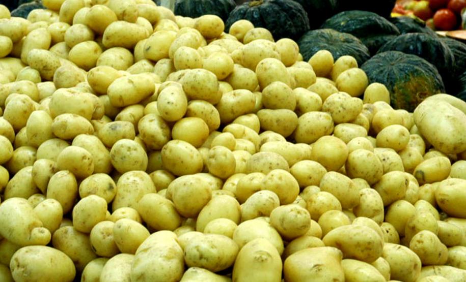 Setor de hortigranjeiros do Paraná começa 2026 com preços mais acessíveis, segundo Deral