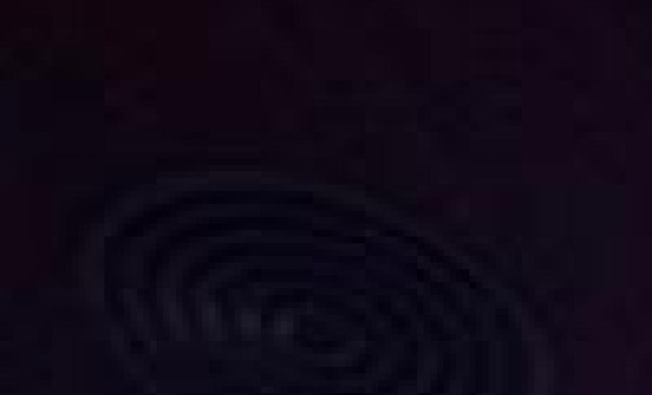 Ceasa participa do evento “Paraná pelas Mulheres”