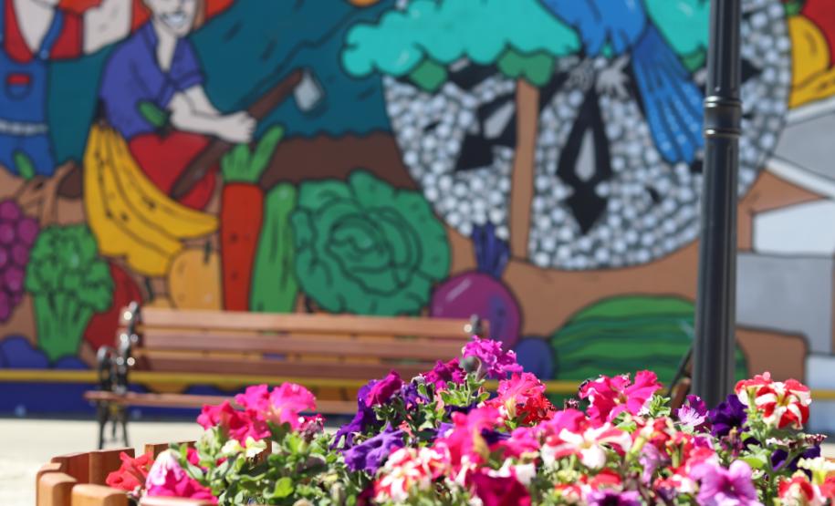 Da Rua XV para a Ceasa: um tributo à identidade curitibana