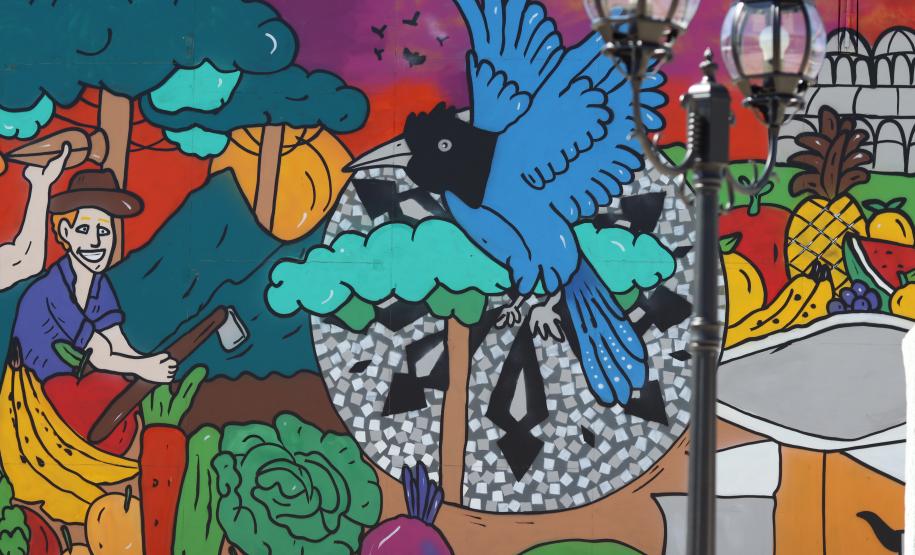 Da Rua XV para a Ceasa: um tributo à identidade curitibana