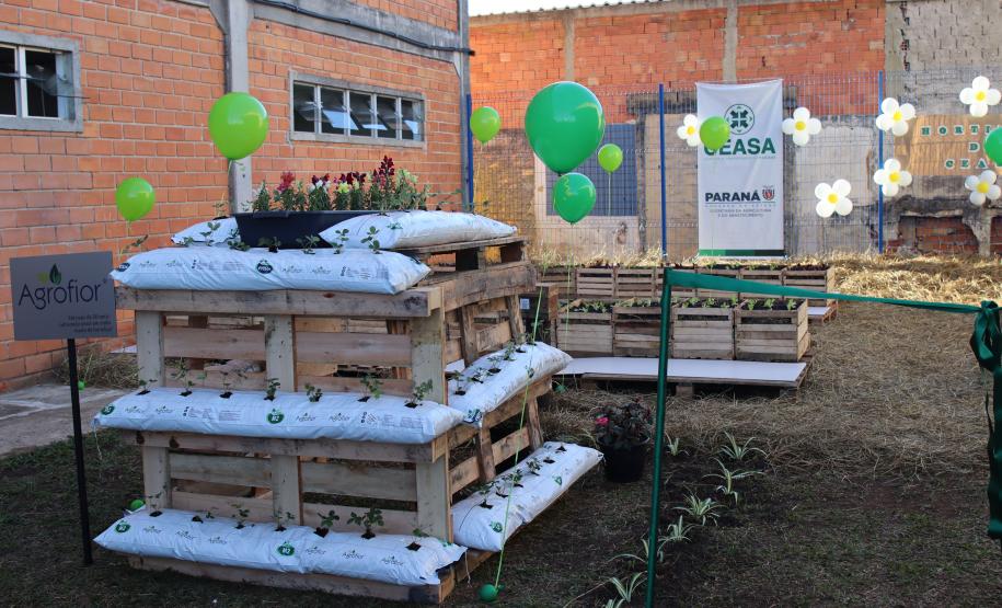 CMEI Palmeiras ganha horta funcional em ação da Ceasa Paraná