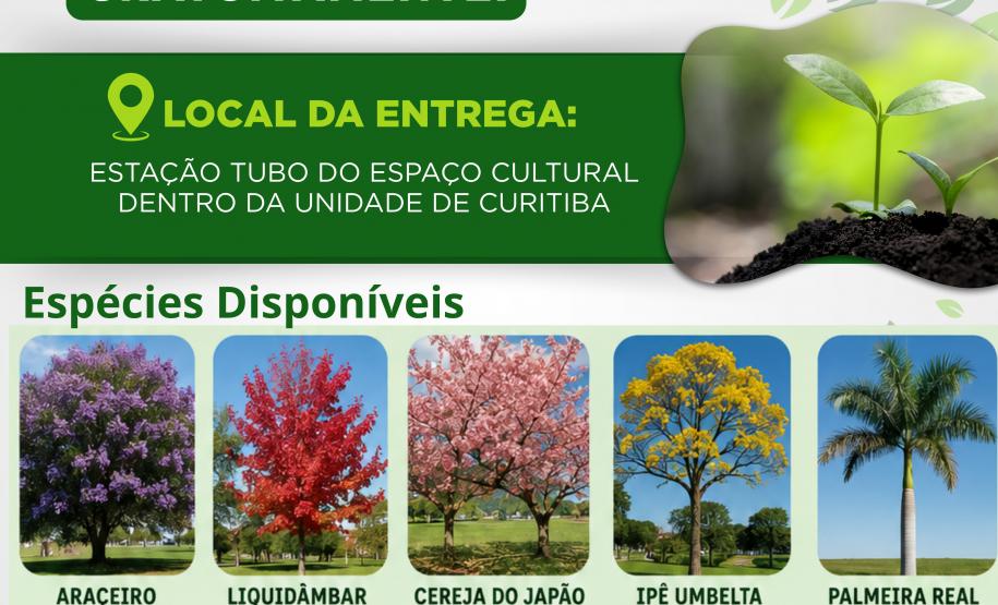 Ceasa Curitiba recebe ação do Projeto Um Milhão de Árvores, com a distribuição de mil mudas e a presença da Família Folha