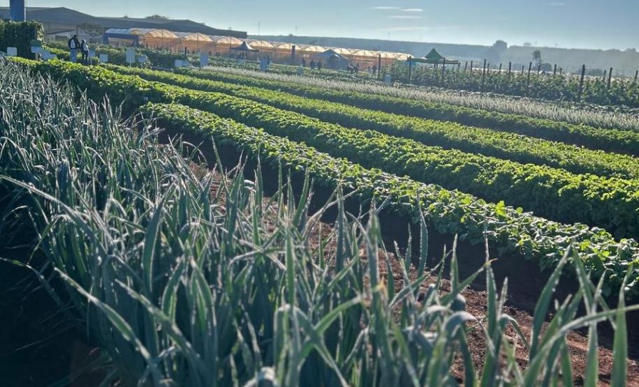 Ceasa Paraná aproxima jovens das tecnologias do campo