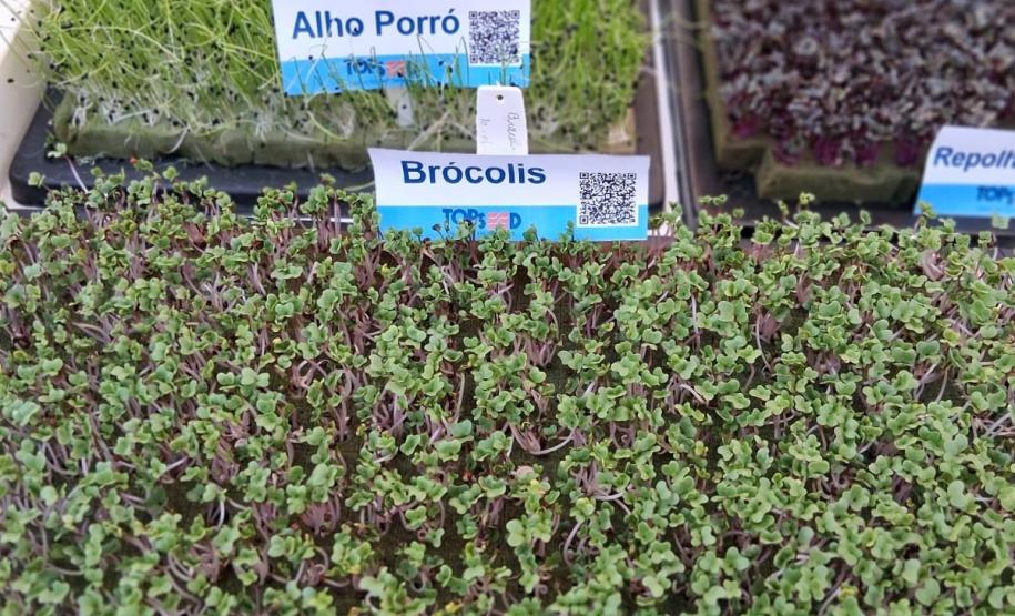Ceasa Paraná aproxima jovens das tecnologias do campo