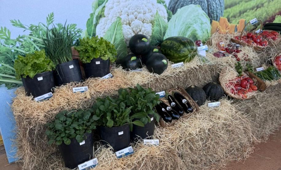 Ceasa Paraná aproxima jovens das tecnologias do campo