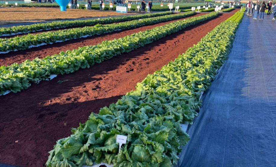 Ceasa Paraná aproxima jovens das tecnologias do campo