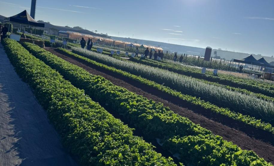 Ceasa Paraná aproxima jovens das tecnologias do campo