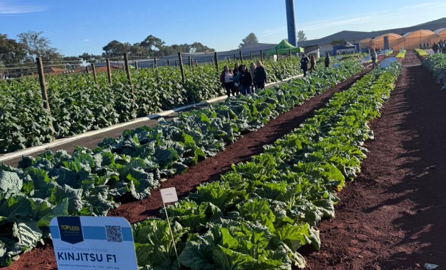 Ceasa Paraná aproxima jovens das tecnologias do campo