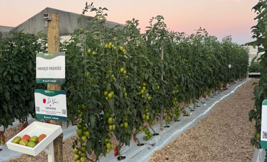 Ceasa Paraná aproxima jovens das tecnologias do campo