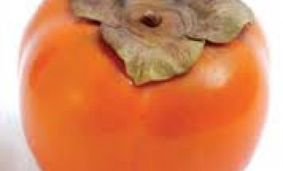 Média de preços em baixa