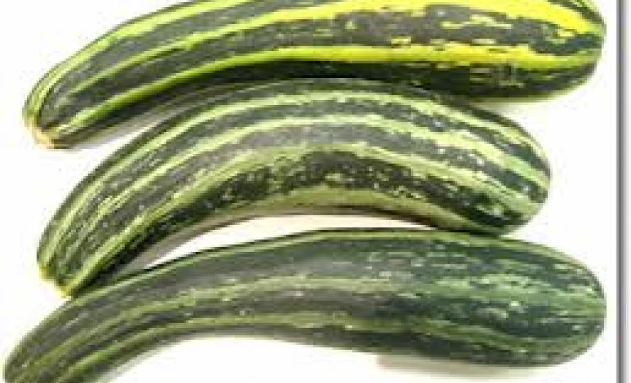 Região metropolitana com menor oferta