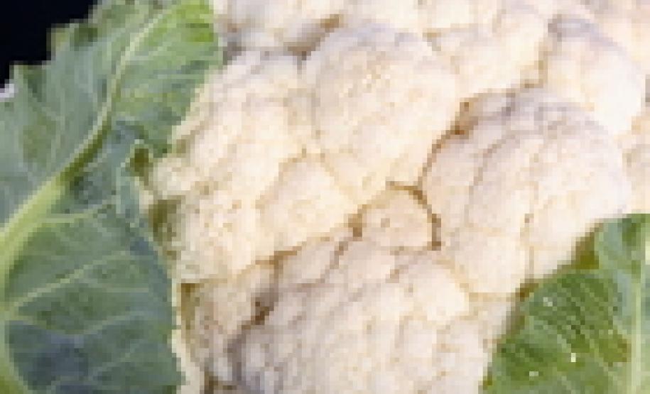 Baixas significativas nas cotações