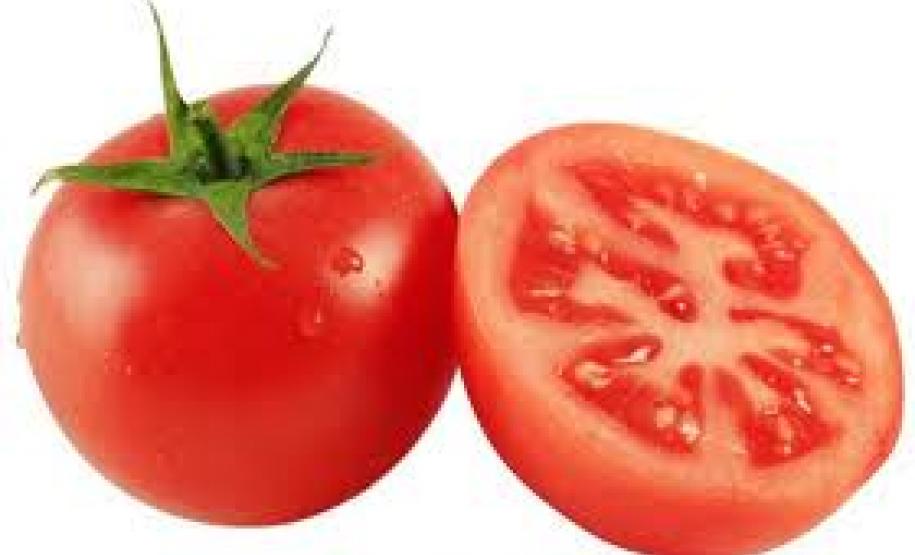 Tomate tem nova alta tomate