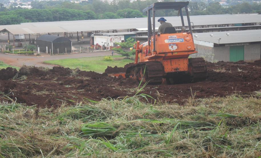 Hortinorte na Ceasa de Londrina