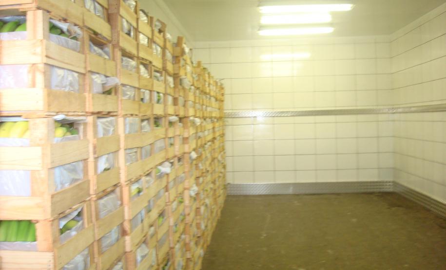 Empresas que se destacam