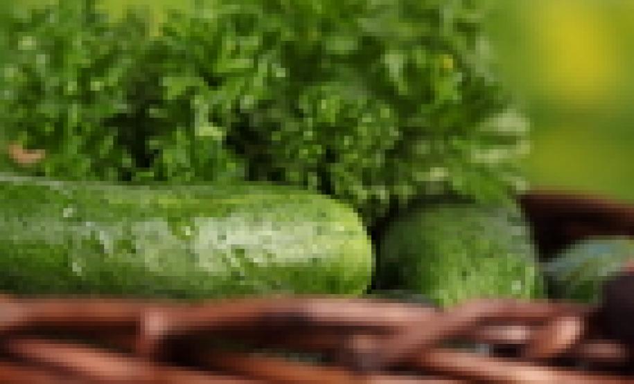 Transferências reforçam a oferta