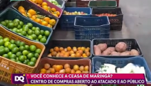 Reportagem - Ceasa Maringá
