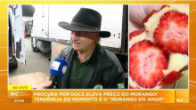 Reportagem Morango do Amor - CEASA-PR