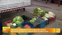Matéria da Ceasa na RIC