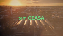 CEASA INSTITUCIONAL 2026